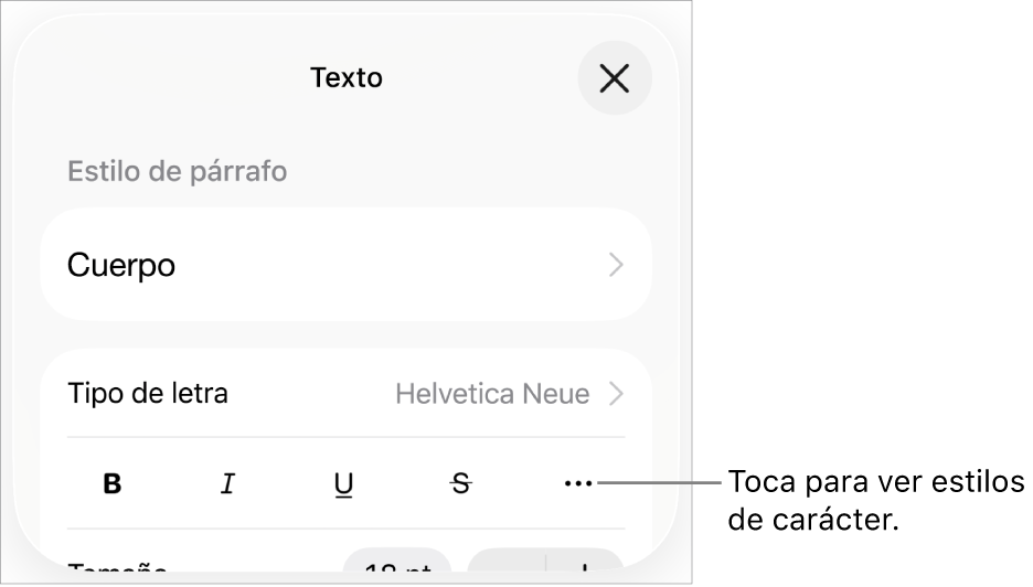 Los controles de formato con los botones Negrita, Cursiva, Subrayado, Tachado y Más opciones de texto.