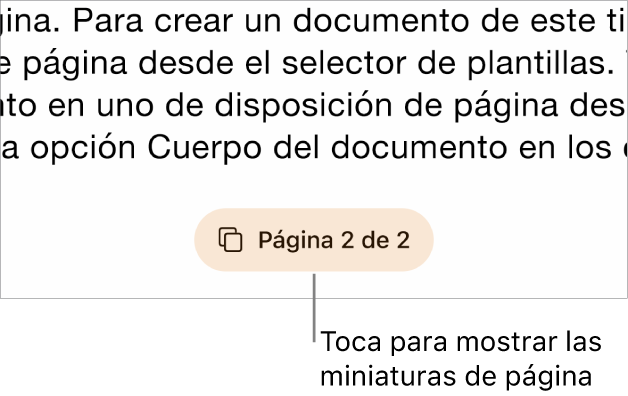 Un documento abierto con numeración de página en la parte inferior de la pantalla.