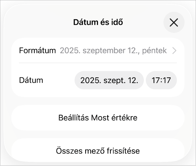 A Dátum és idő vezérlők a Dátumformátum, a Beállítás Most értékre és az Összes mező frissítése gombok felugró menüjével.