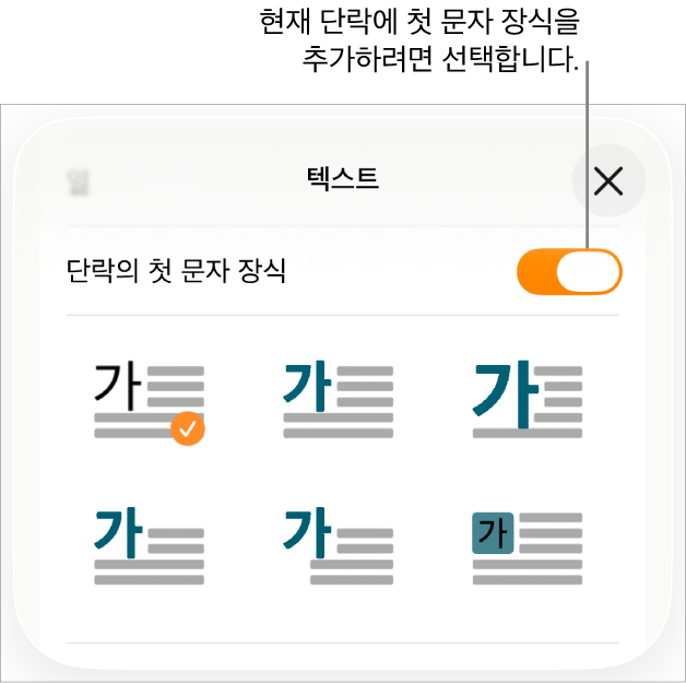텍스트 메뉴에 위치한 ‘단락의 첫 문자 장식’ 제어기.