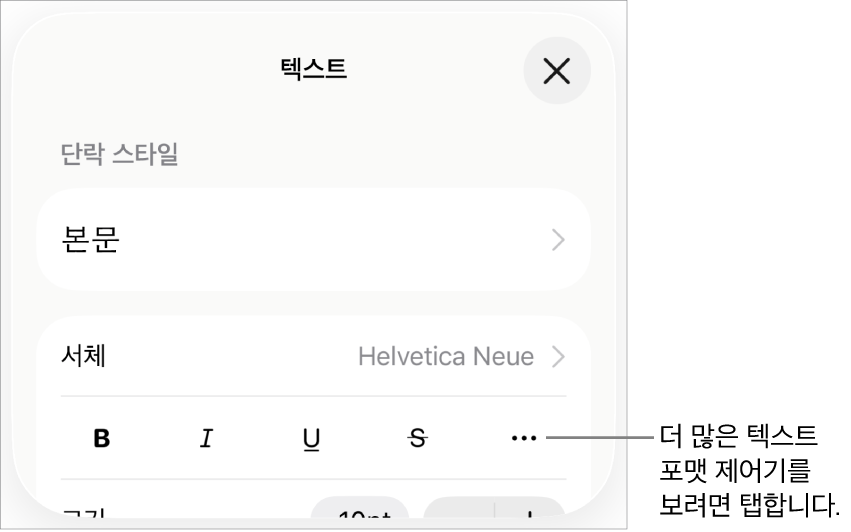 추가 텍스트 옵션에 대한 설명이 있는 포맷 제어기의 텍스트 탭.