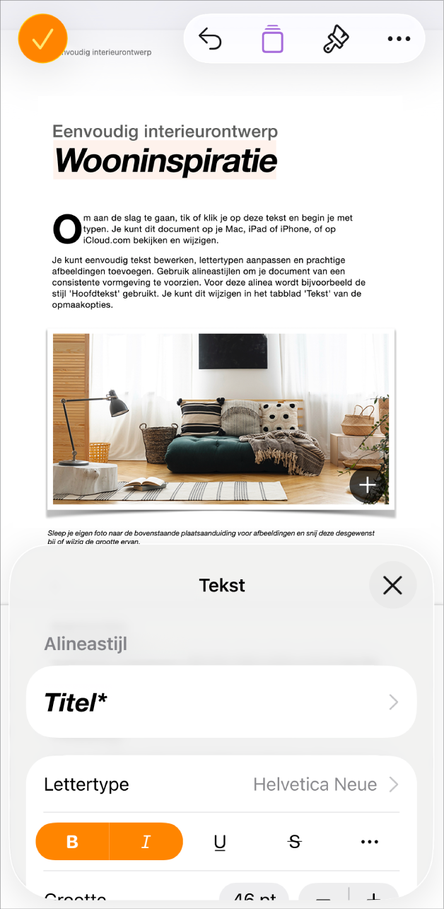 In een geopend document is tekst geselecteerd en worden onderaan tekstopties weergegeven.