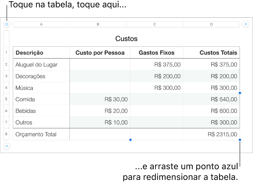 Tabela selecionada com pontos azuis para redimensionamento.