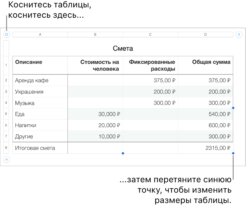 Выбранная таблица с синими точками для изменения размера.