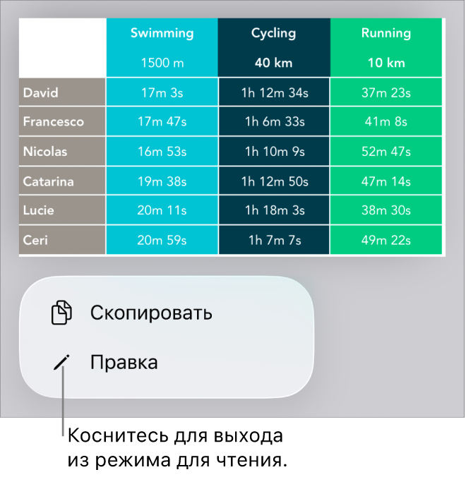 Выбрана таблица; под ней отображается меню с кнопками «Скопировать» и «Правка».