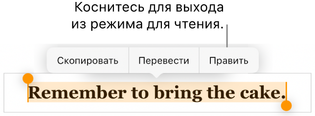 Выбрано предложение; над ним отображается контекстное меню с кнопками «Скопировать» и «Правка».