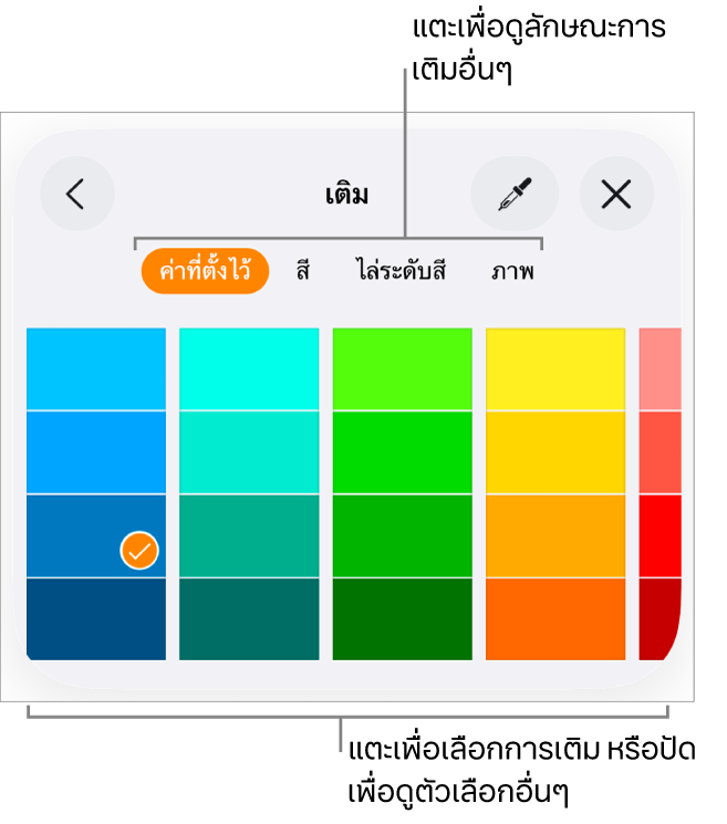 ตัวเลือกการเติมในแถบลักษณะของปุ่มรูปแบบ