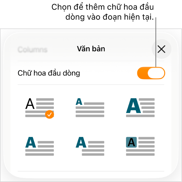 Các điều khiển Chữ hoa đầu dòng nằm trong menu Văn bản.