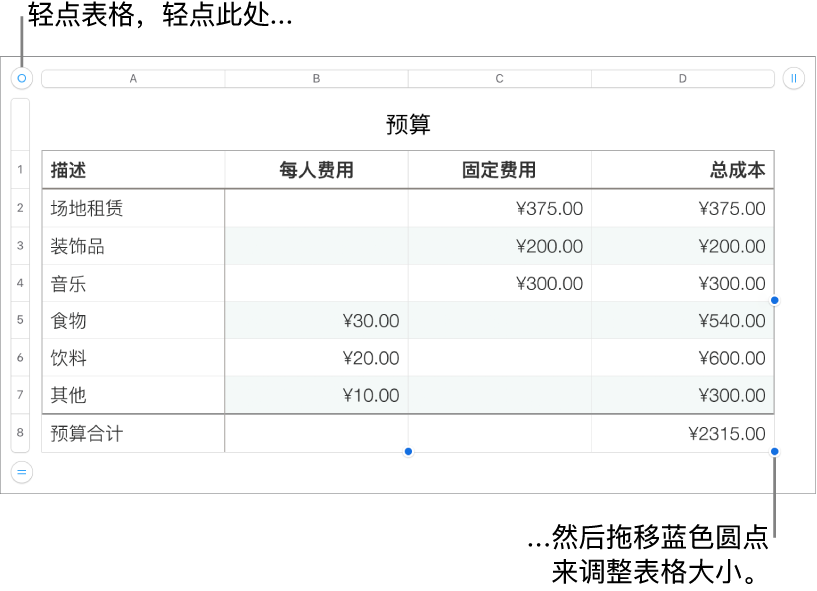所选表格，含用于调整大小的蓝色圆点。
