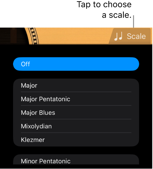 Guitar Scale button