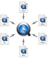 Figure. Diagram showing how QuickTime can hold many different kinds of codecs.