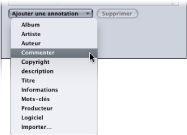 Figure. The Add Annotation pop-up menu in the Additional Information tab of the Inspector window.