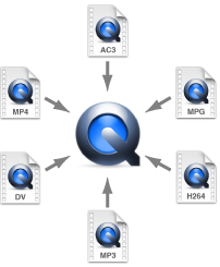 Figure. Diagram showing how QuickTime can hold many different kinds of codecs.