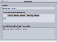 Figure. Sample From Defined Template text field.