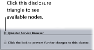 Figure. Qmaster Service Browser disclosure triangle.