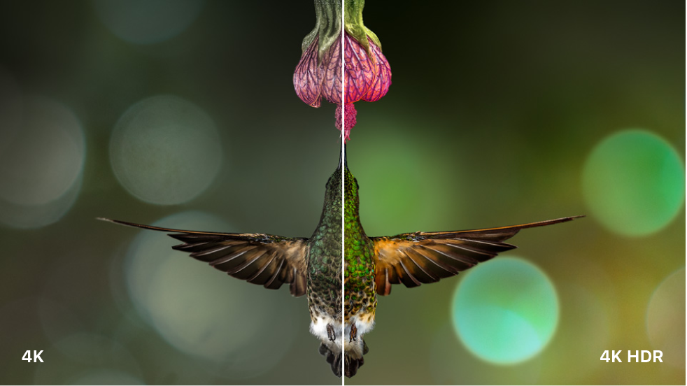 Side-by-side comparison of standard-dynamic-range color and high-dynamic-range color.