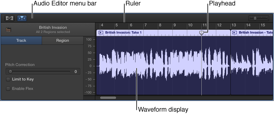 Figure. Audio Editor with region selected.