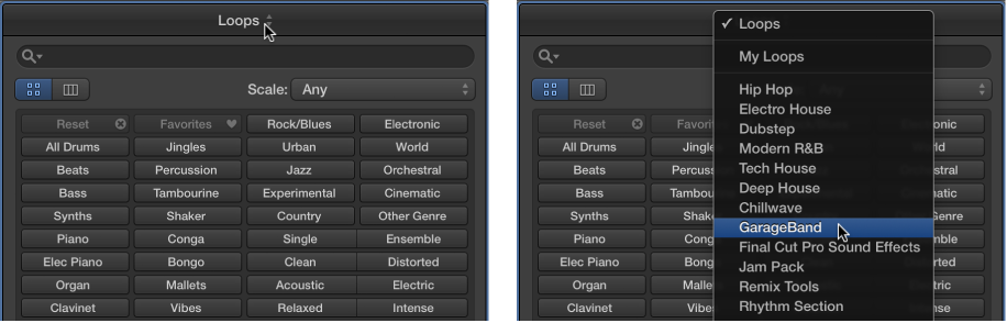 Figure. Showing the open Loops pop-up menu.
