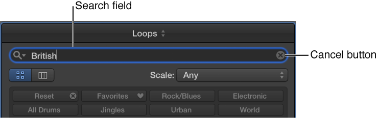 Figure. Search field in the Loop Browser.