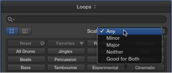 Figure. Showing the open Scale pop-up menu in the Loop Browser.