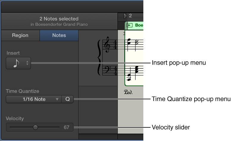Figure. Score Editor inspector in Notes mode, showing controls