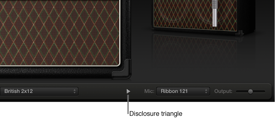 Figure. Disclosure triangle for smaller view