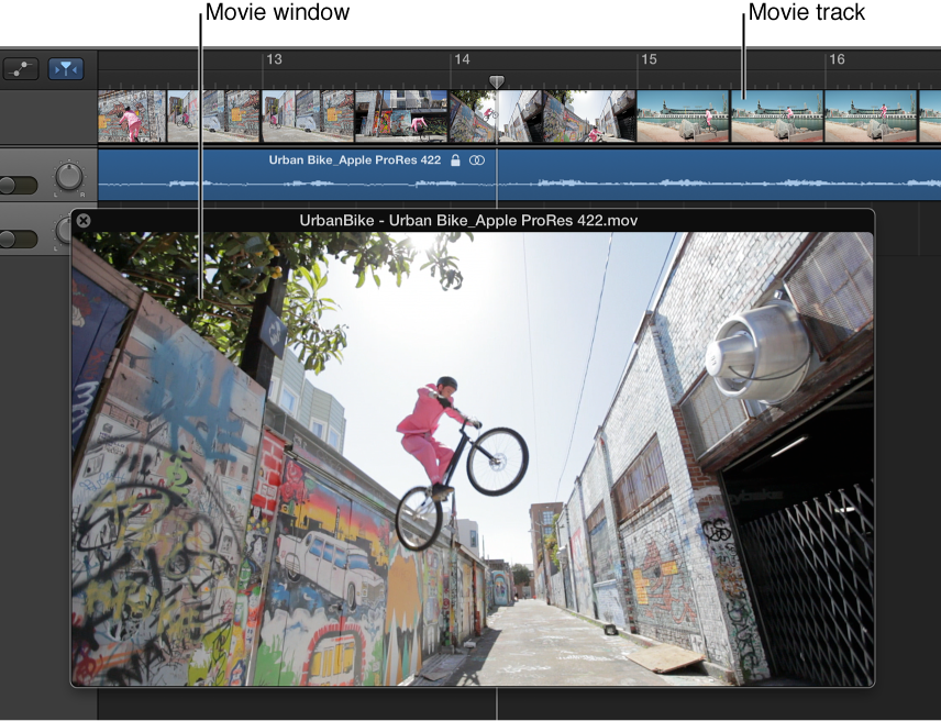 Figure. Floating Movie window and track with audio from the movie