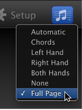 Figure. Choosing Full Page from Notation pop-up menu