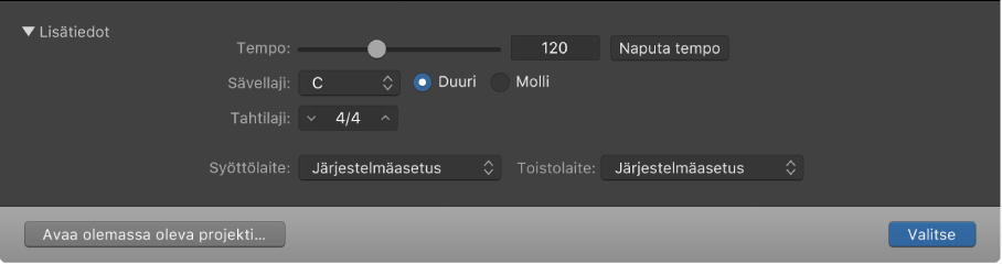 Avoinna oleva projektivalitsimen lisätietoalue, jossa näkyy parametreja