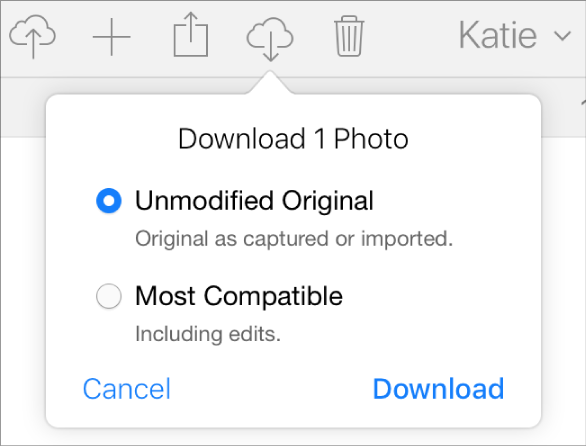 El cuadro de diálogo para descargar una foto o un vídeo, con opciones para descargar la versión original sin modificar o la versión más compatible.