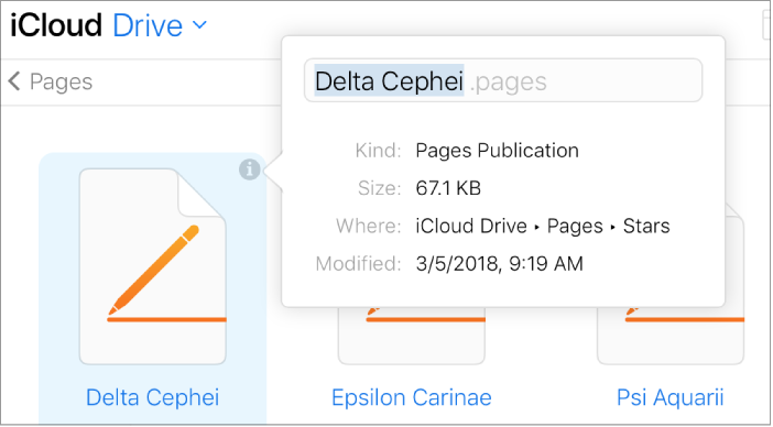 Panel de información de un archivo en la app iCloud Drive de iCloud.com, con el nombre de archivo resaltado para su edición.