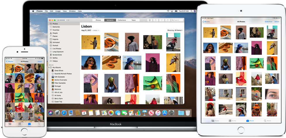 iPhone、iPad 和 Mac 上的共享相簿。