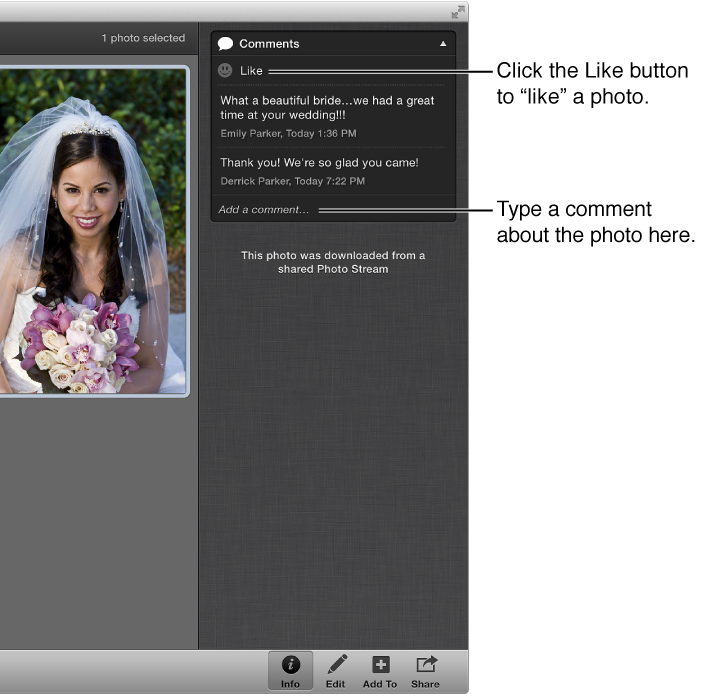 Photo Stream Like button and comment field