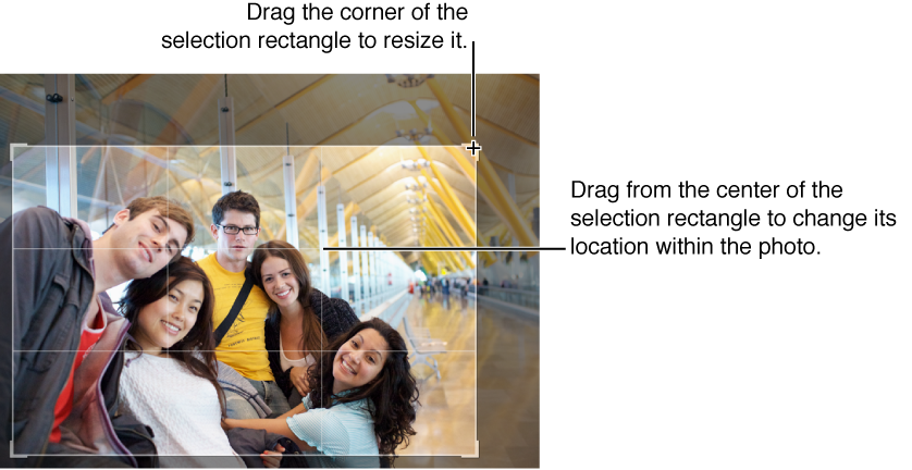 Image of a photo being cropped