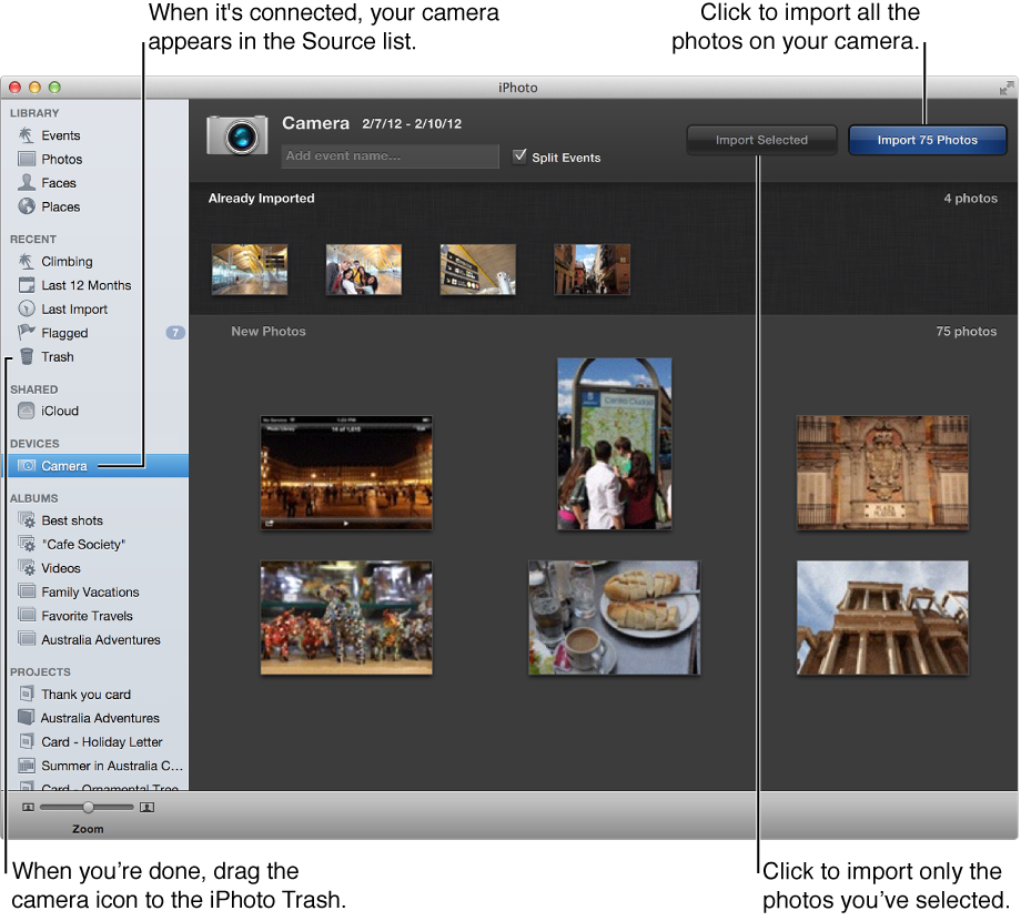 Image of iPhoto window showing connected camera