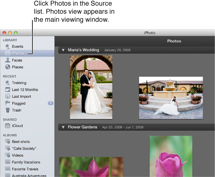 Image of Photos view
