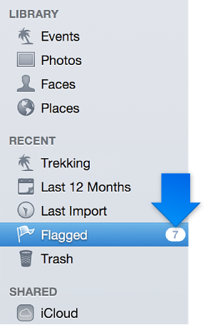 Image of Flagged icon in Source list