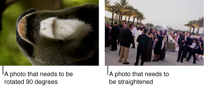 screenshot of photo that needs to be rotated 90 degrees, and a photo that needs to be straightened.