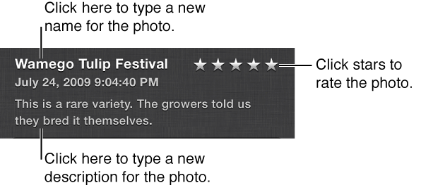 Image of Title field