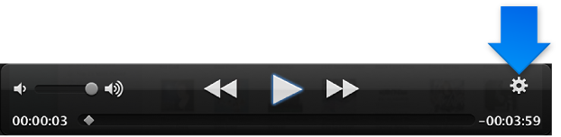 Screenshot of the video controls, with the Action (gear) menu highlighted