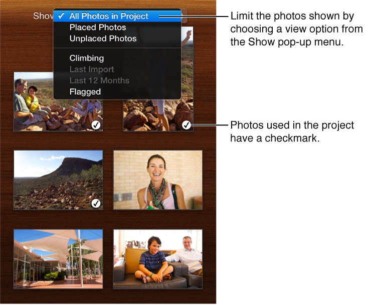 Image of the Photo pane, showing the Show pop-up menu and a checkmark on a photo
