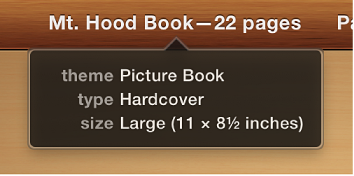 Image showing the theme, type, and size information that appears when the pointer is positioned over a book name
