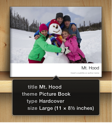 Image showing the title, theme, type, and size information that appears when the pointer is positioned over a book