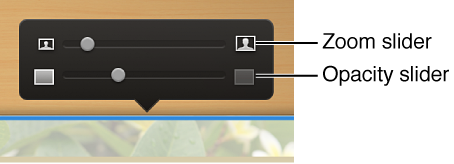 Image of the zoom slider and opacity slider