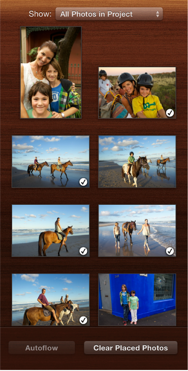 Image of the Photo pane