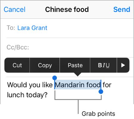 A sample email message with some of the text selected. Above the selection are the Cut, Copy, bold/italics/underline, and Show More buttons. The selected text is highlighted, with grab points at either end.