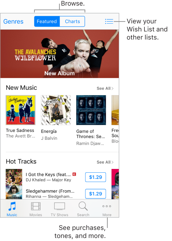 The Browse screen of the iTunes Store showing information about featured items. Along the top, from left to right, are the Genres, Featured, Charts, and Item List buttons. Along the bottom, from left to right, are the Music, Movies, TV Shows, Search, and More tabs.