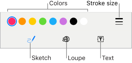 The toolbar for marking up a photo. At the top, from left to right are the Color Picker and Stroke Size button. At the bottom, from left to right, are the Intelligent Sketch, Loupe, and Text buttons.