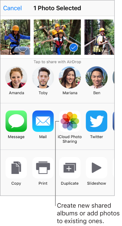 The Sharing screen with photos across the top; one is selected. The row beneath the photos shows friends you can share with using AirDrop. Below that are other sharing options, which may include message, email, iCloud, Twitter, Facebook, Flickr, and more. The bottom row includes other options such as copy, print, duplicate, play a slideshow, and more.