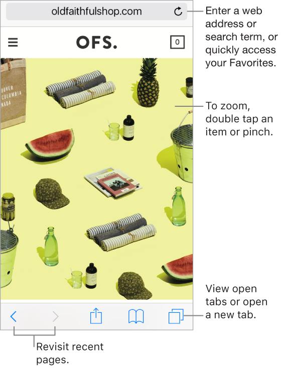 A website open in a Safari window, with the address field at the top. At the bottom, from left to right, are the Back, Forward, Share, Bookmarks, and Pages buttons.